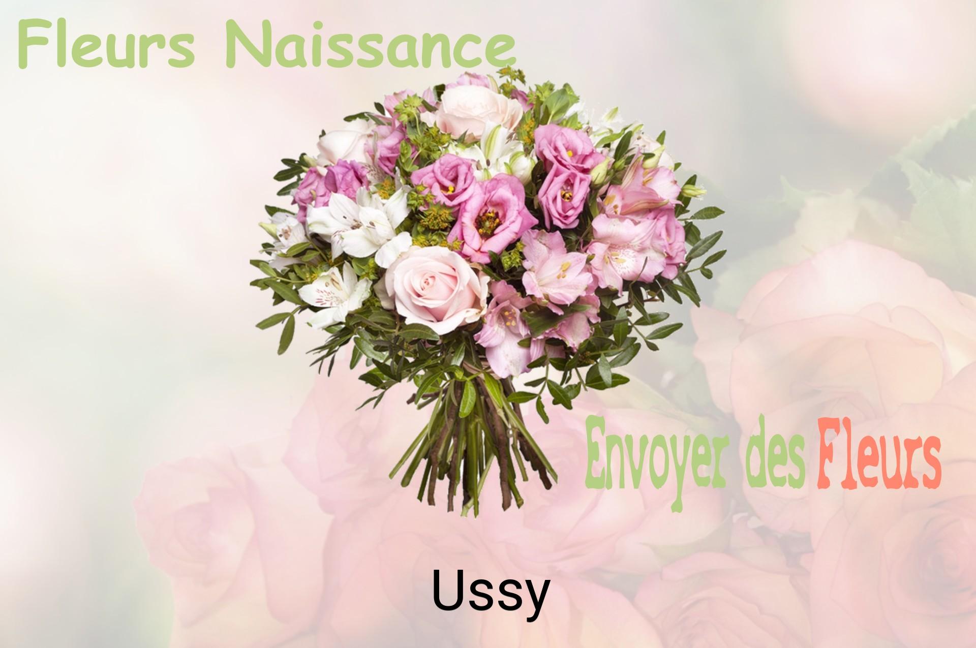 Bouquet de fleurs de naissance livré à Ussy