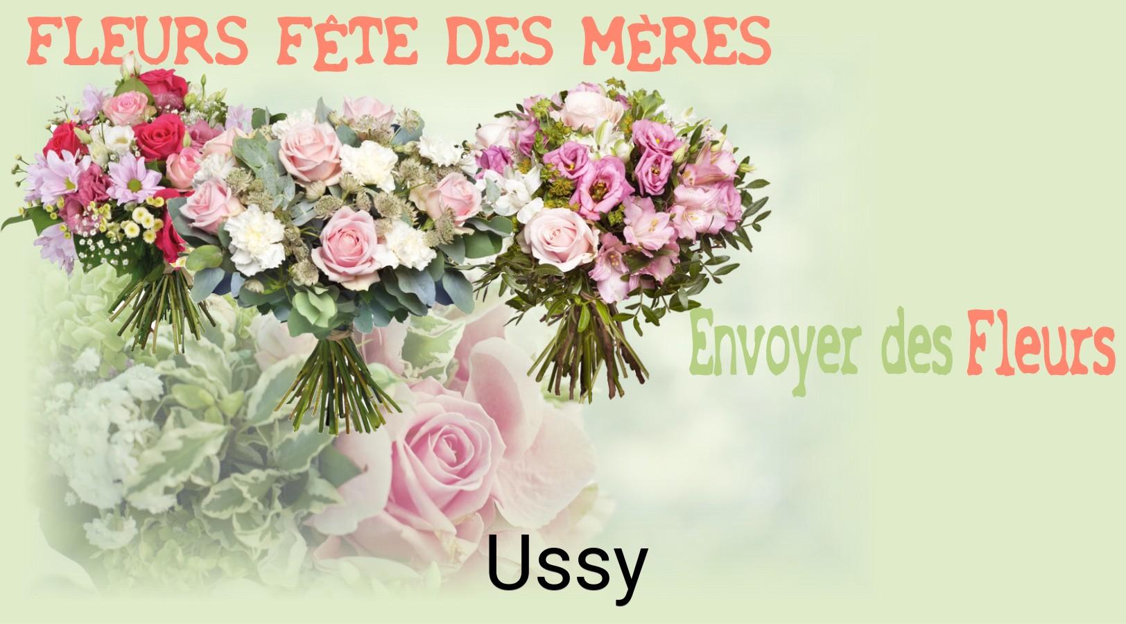 Bouquet de Fête des Mères livré à Ussy